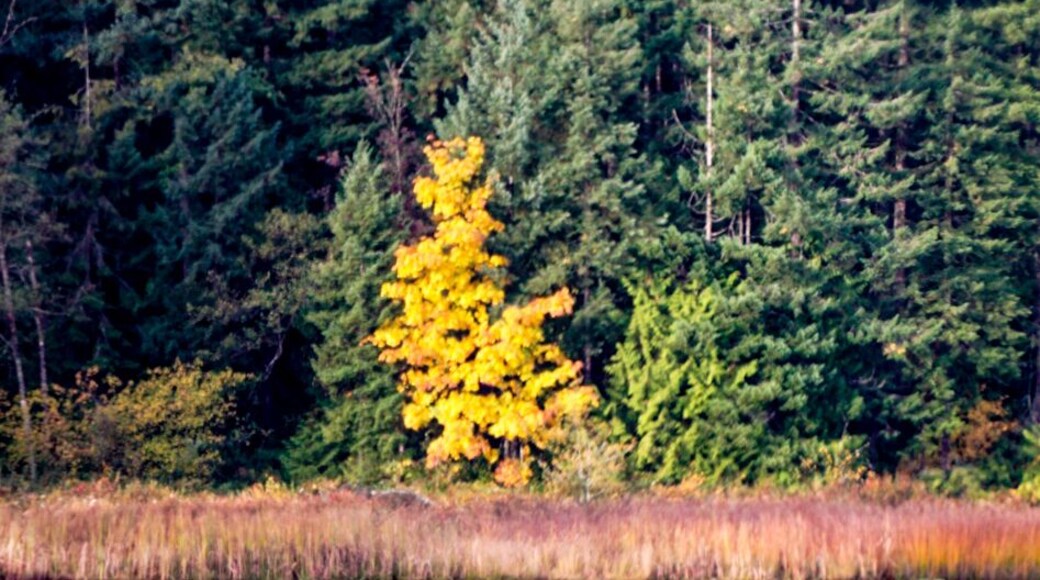 Awesome spot just off the highway