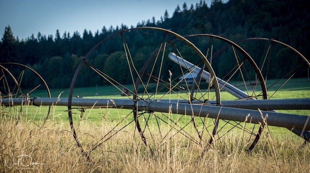 This is private property (please don't trespass) but nice views of the farm and surrounding area are available from both the Island Highway (TCH) Old Victoria Road. From the Old Victoria road side you will have Mount Brenton in the background.