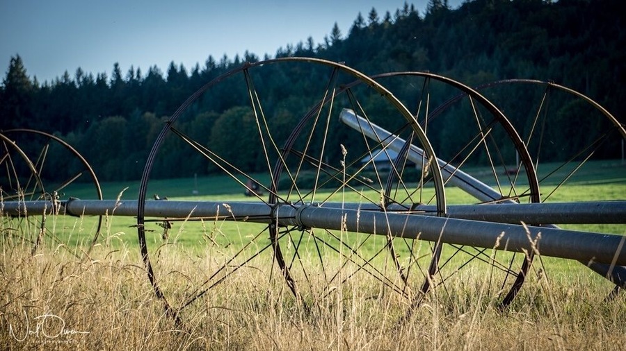 This is private property (please don't trespass) but nice views of the farm and surrounding area are available from both the Island Highway (TCH) Old Victoria Road. From the Old Victoria road side you will have Mount Brenton in the background.