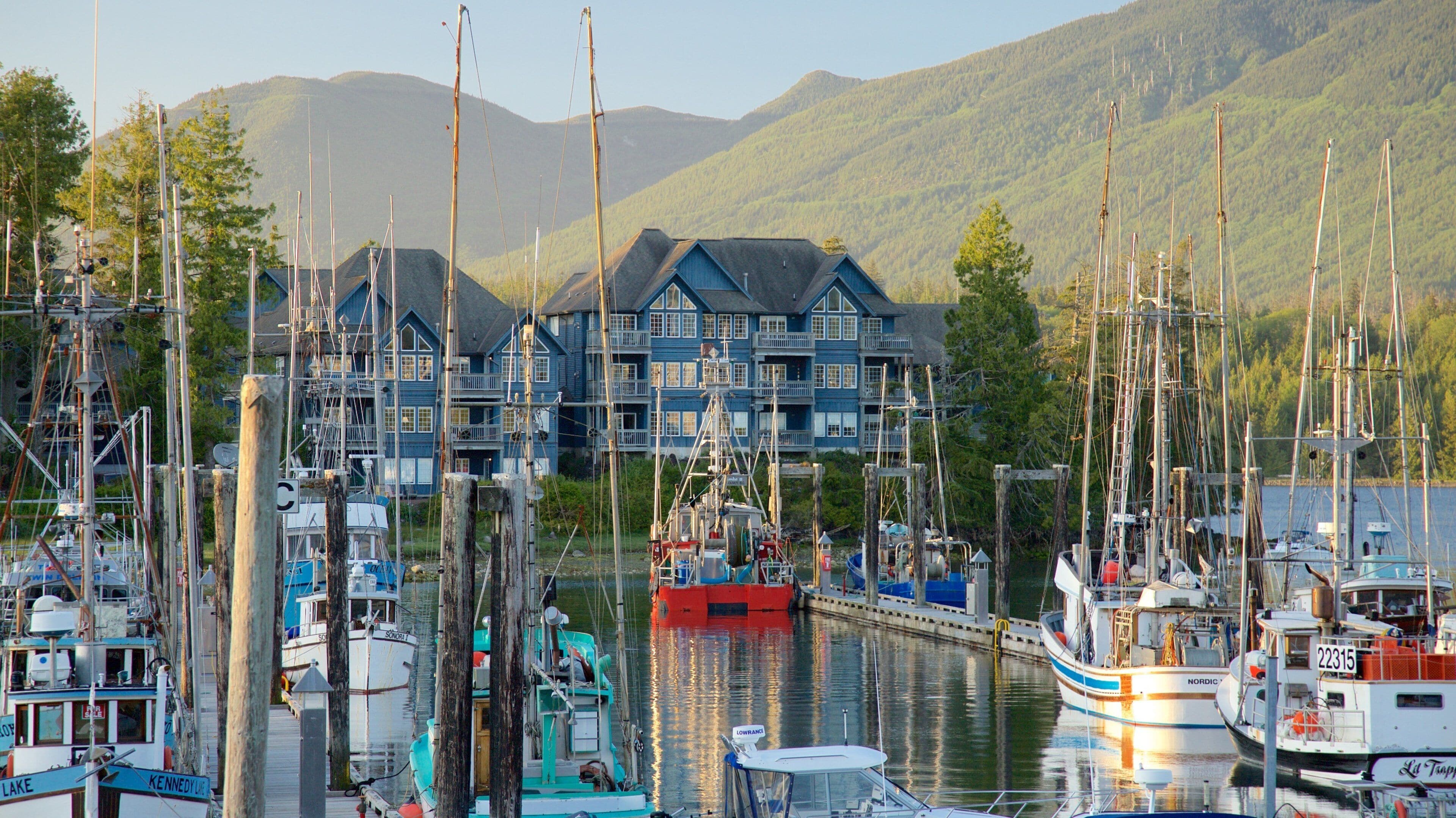 Ucluelet ofreciendo montañas, una bahía o puerto y una puesta de sol