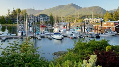 Ucluelet toont een zonsondergang, een baai of haven en bergen
