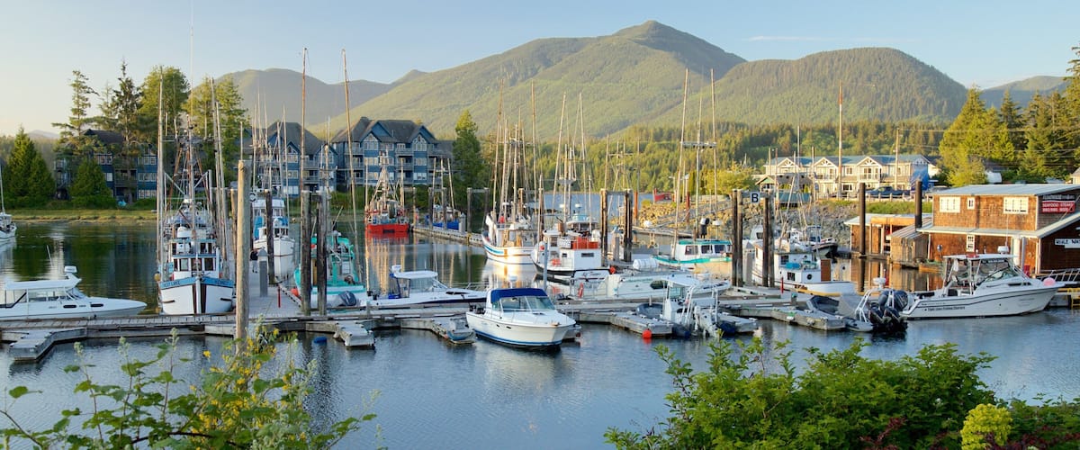 A marina with boats docked, surrounded by lush greenery and mountains in the background.