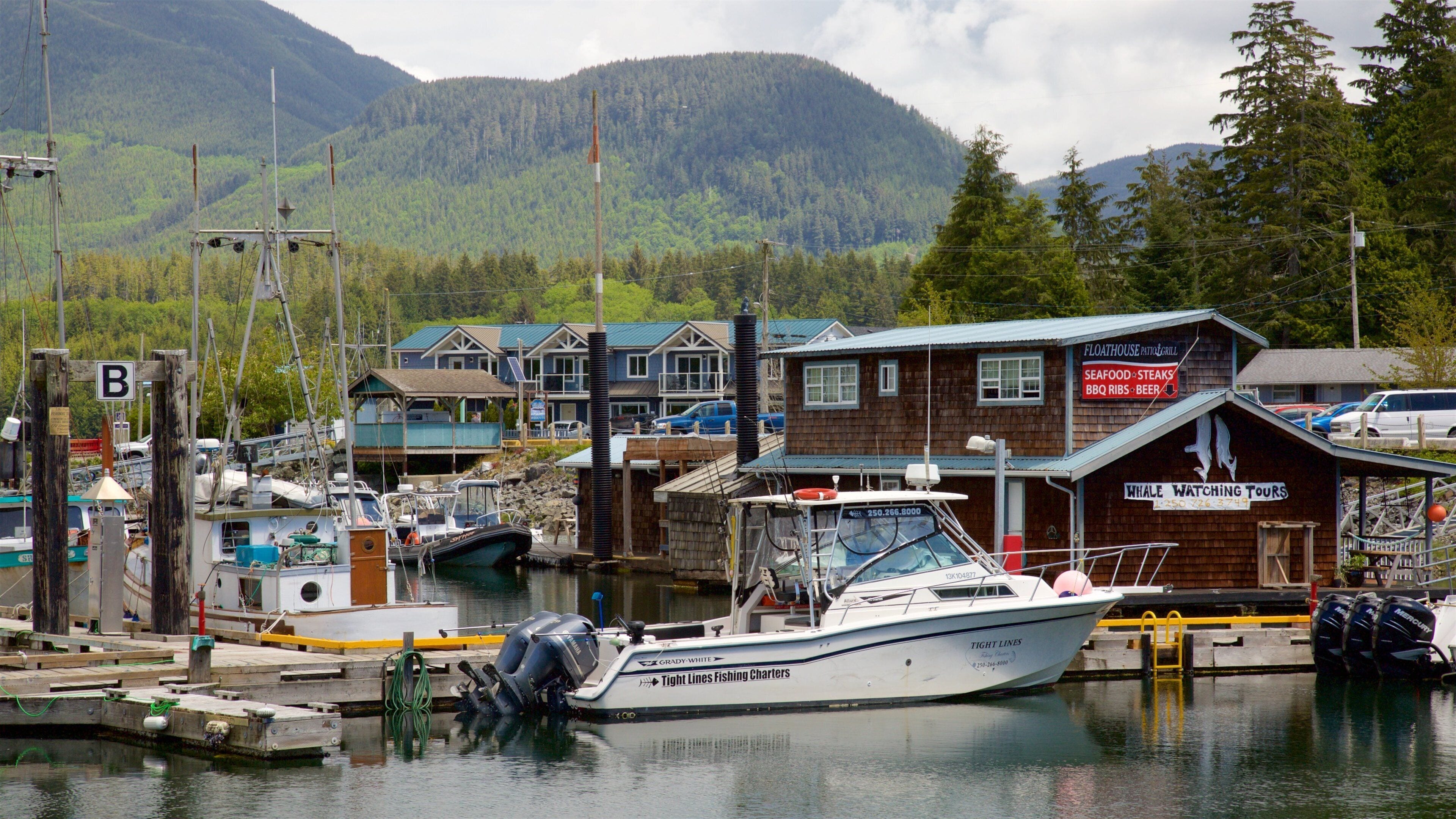 Ucluelet mostrando una bahía o puerto y escenas tranquilas