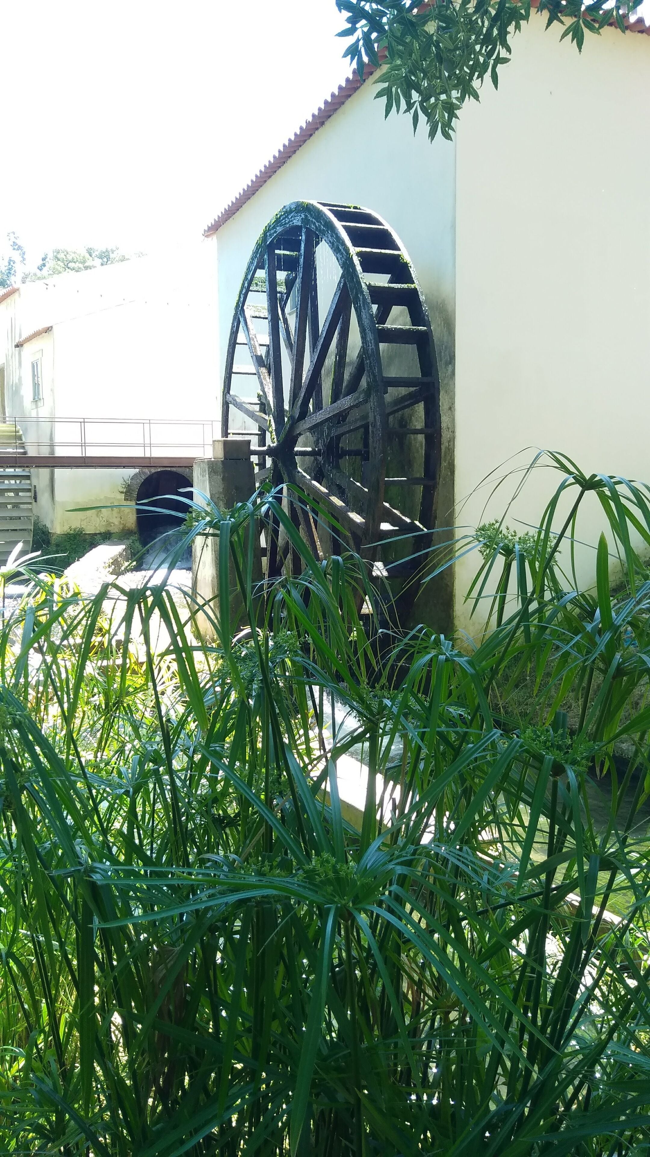 Moinho de Papel @ Leiria