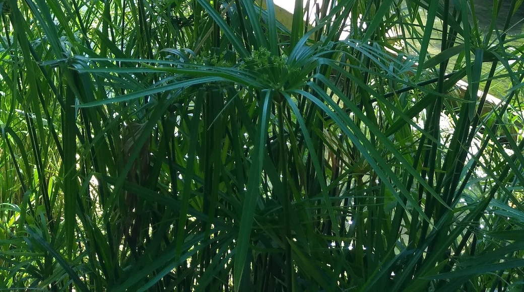 Moinho de Papel @ Leiria