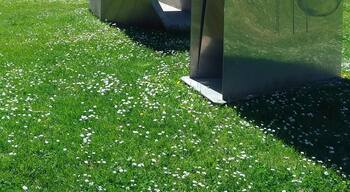 Escultura junto ao rio Liz