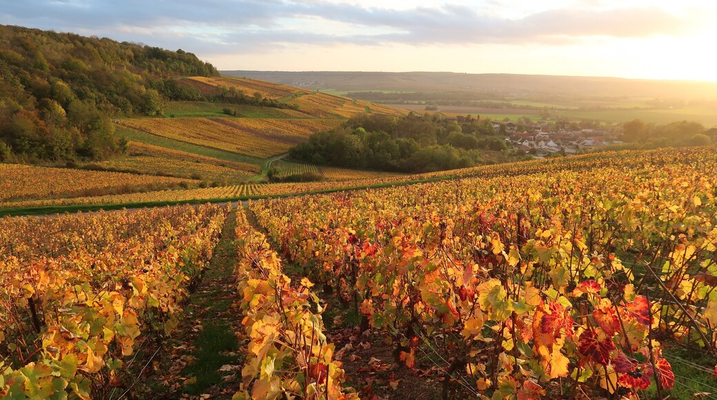 La Chapelle-Saint-Luc