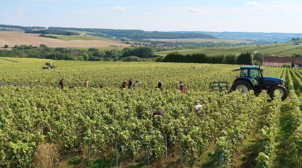 La Chapelle-Saint-Luc