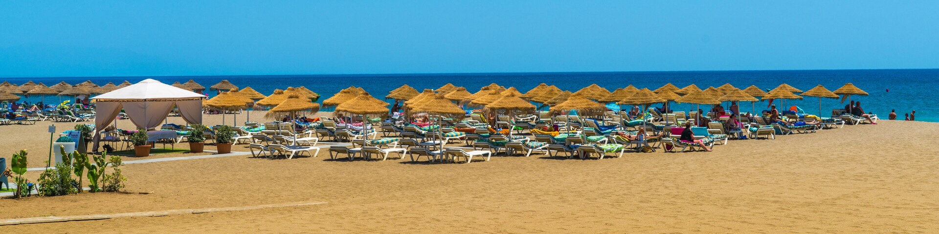 Una playa con filas de tumbonas y sombrillas de paja.