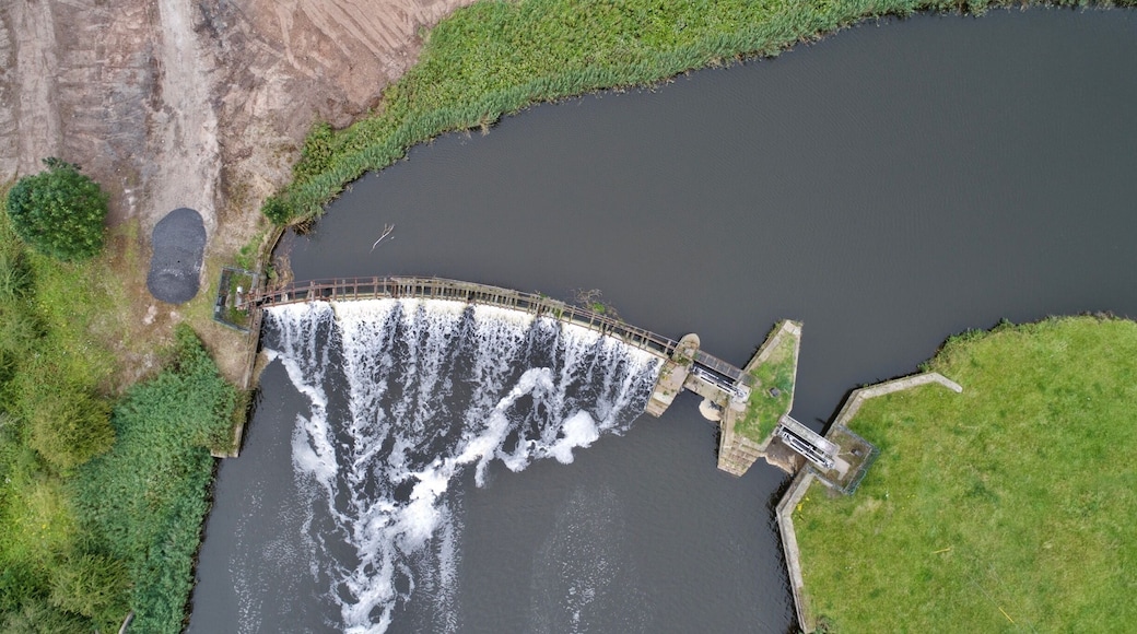 Toft's Dairy in Sandusky advertises itself as Ohio's oldest dairy. They have a scoop shop on the premises with a pretty extensive offering of creative flavors.