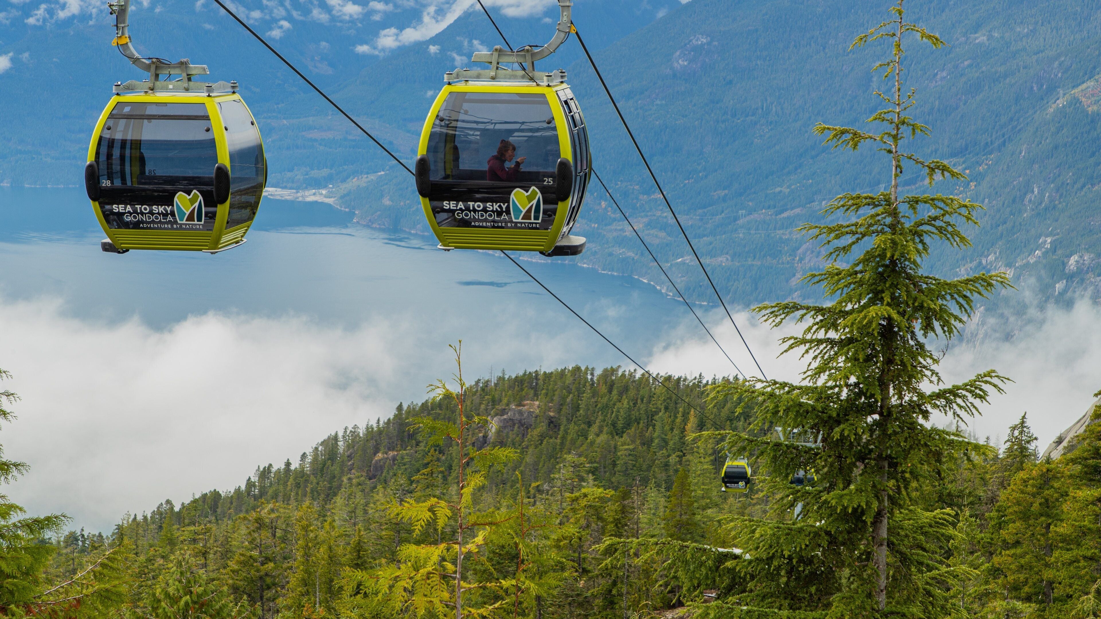 Squamish which includes forests, landscape views and tranquil scenes