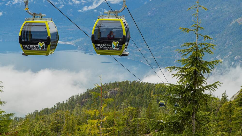 Zwei gelbe Kabseilbahnen mit der Aufschrift 'Sea to Sky Gondola' schweben über einer bewaldeten Berglandschaft.