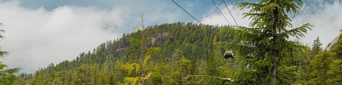 Deux téléphériques jaunes, portant l’inscription « Sea to Sky Gondola », sont suspendus au-dessus d’un paysage montagneux boisé.