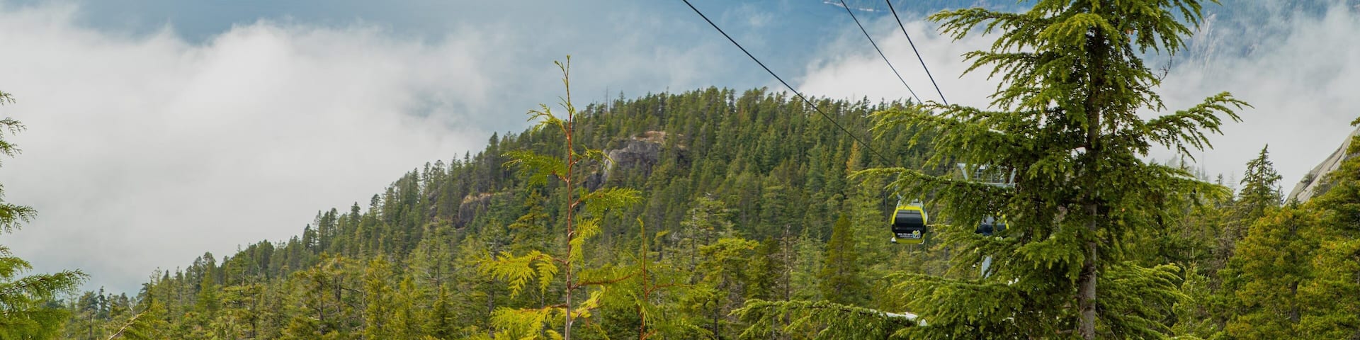 Two yellow cable cars labeled "Sea to Sky Gondola" suspended above a forested mountain landscape.