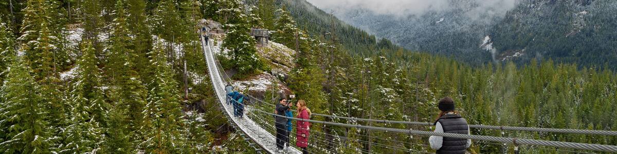 Squamish which includes a suspension bridge or treetop walkway, landscape views and tranquil scenes