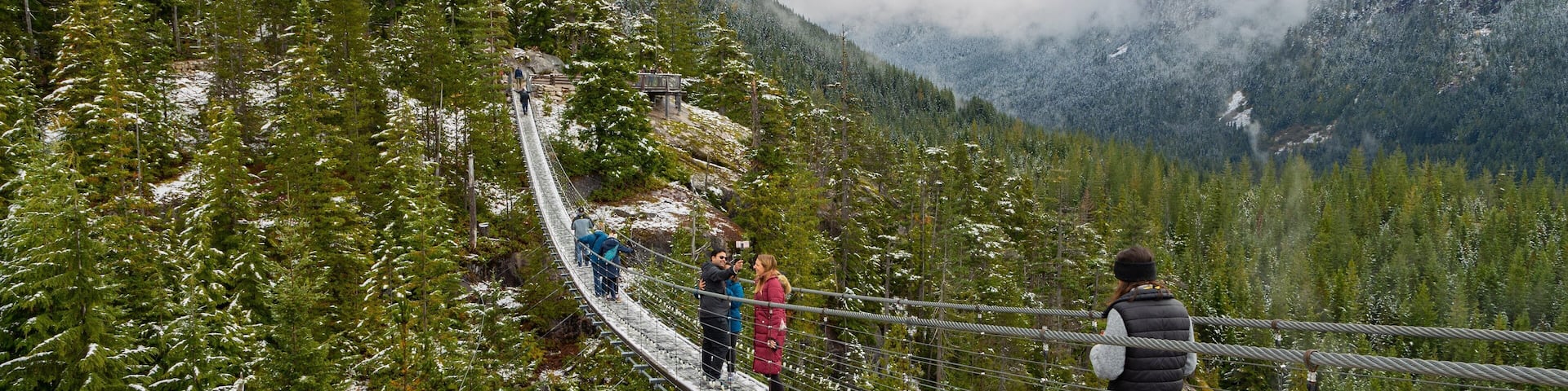Squamish which includes a suspension bridge or treetop walkway, landscape views and tranquil scenes