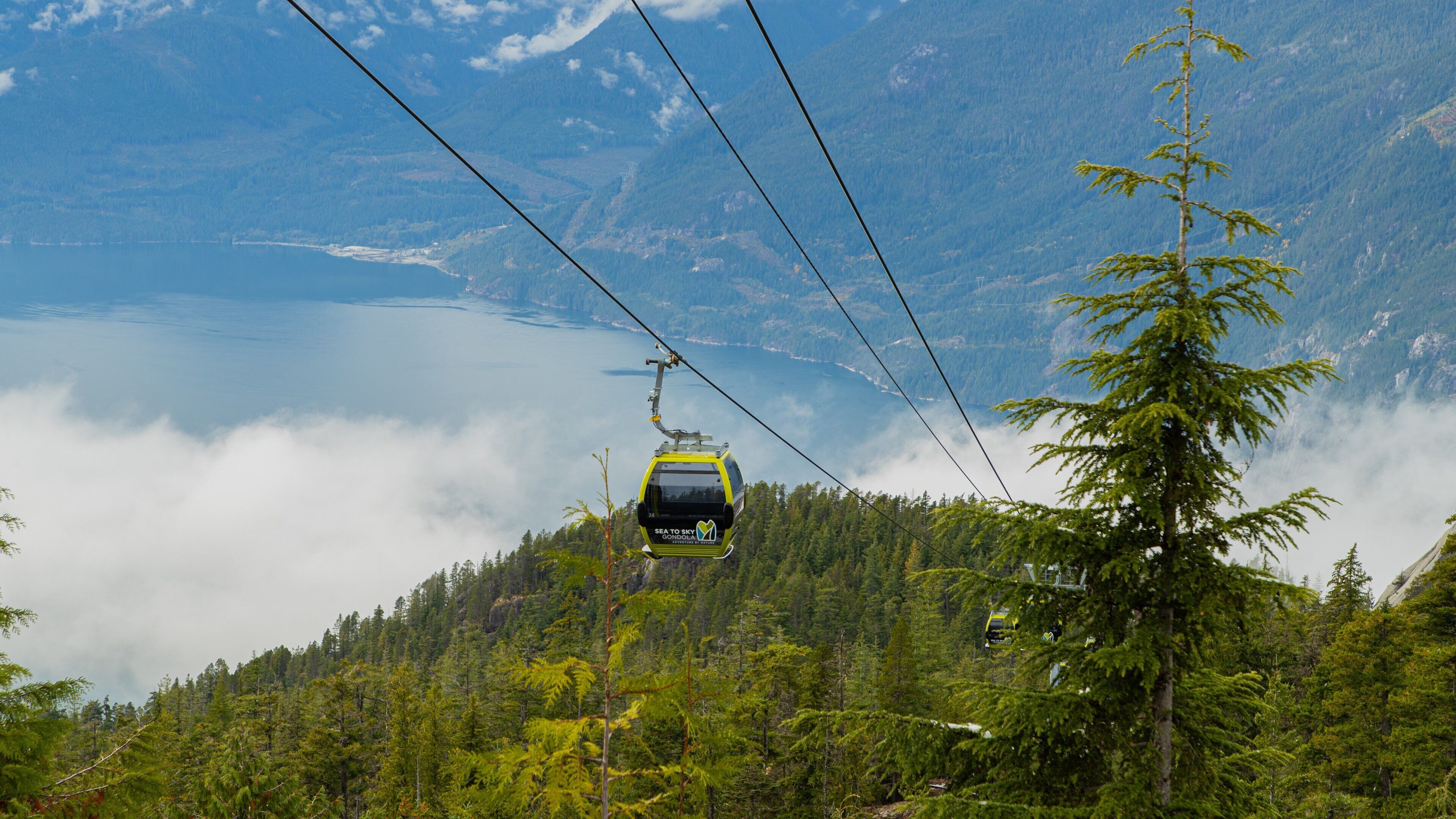 A cable car ascending a mountain with a lake and forest below.