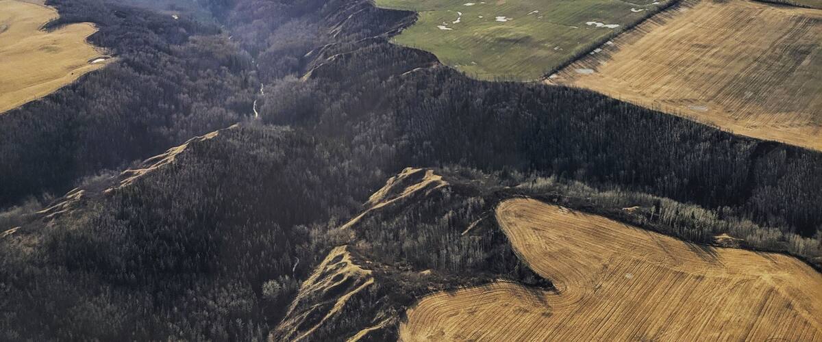 An aerial view of a landscape with fields, forests, and a body of water.