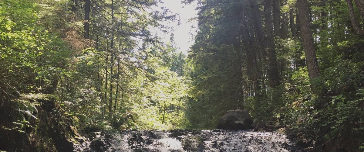 rolley waterfalls