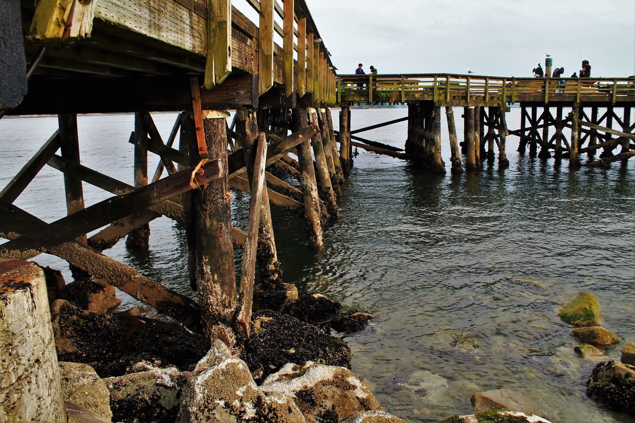 A nice place for a stroll along the ocean