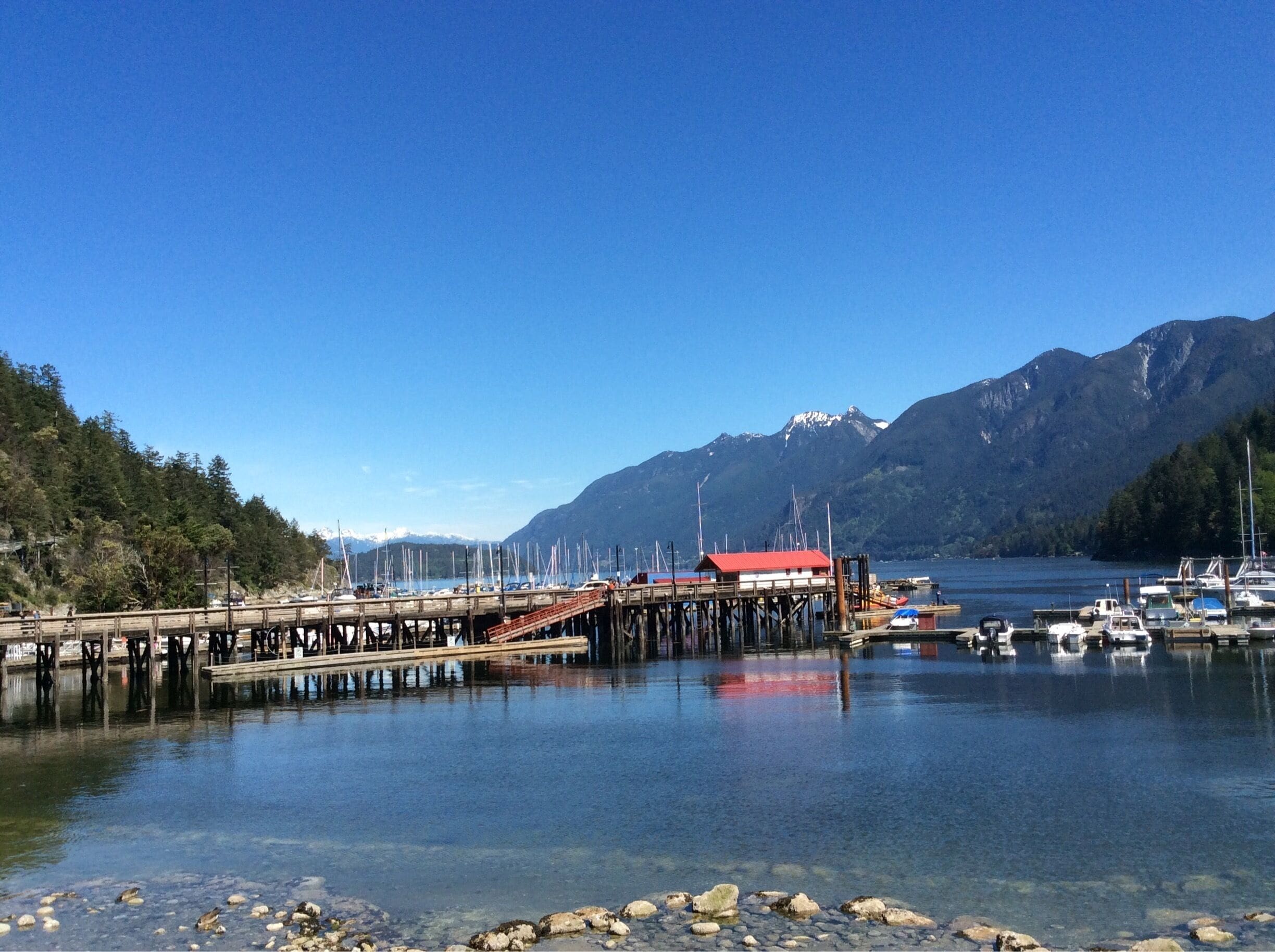 Waiting for ferry to go to Vancouver Island "#Blue"