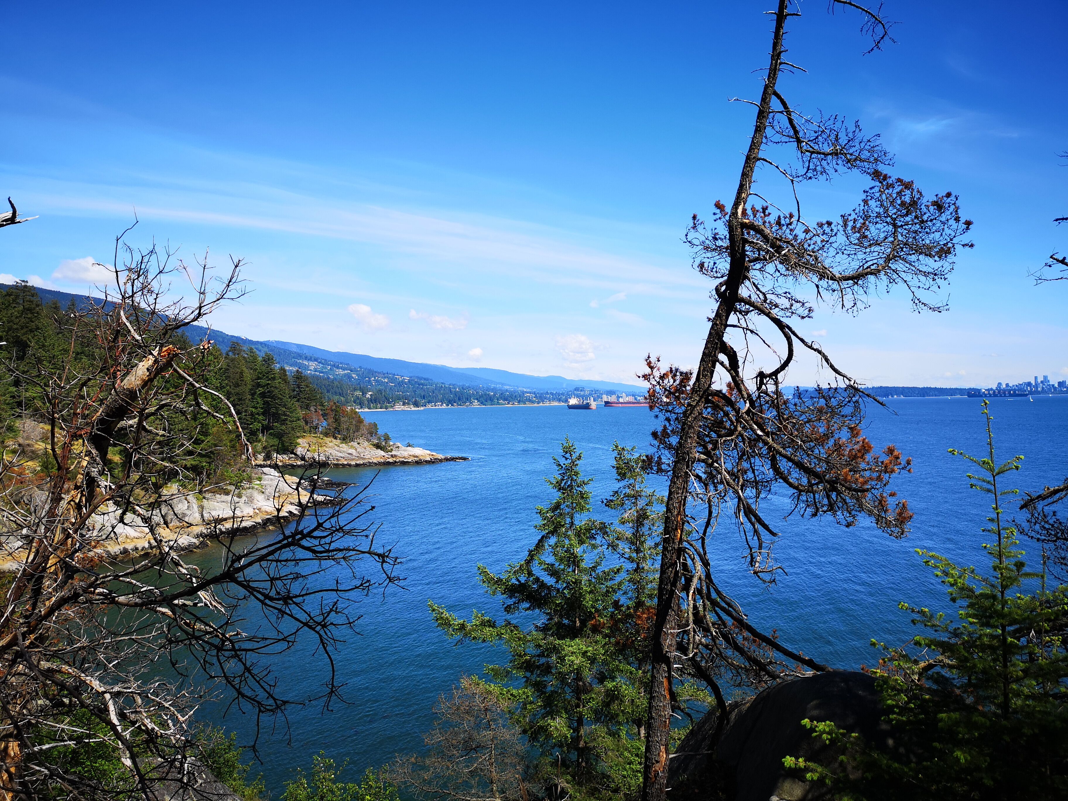 Lighthouse Park