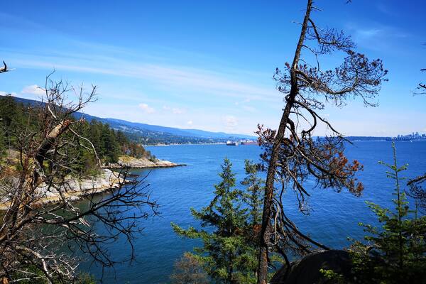 Lighthouse Park