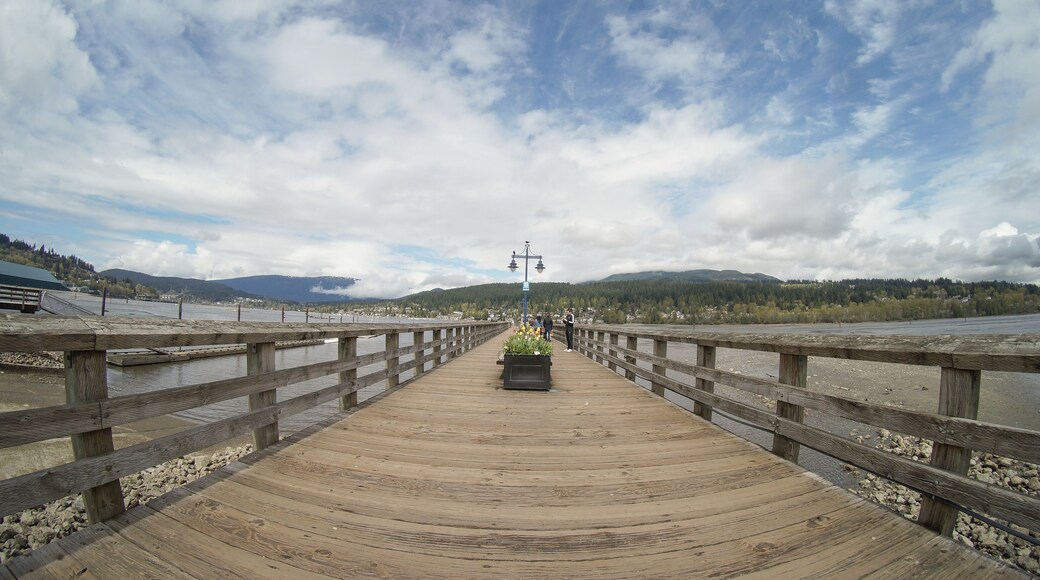 Pier at Rocky Point Park. Port Moody, BC, Canada
#portmoody
#rockypoint