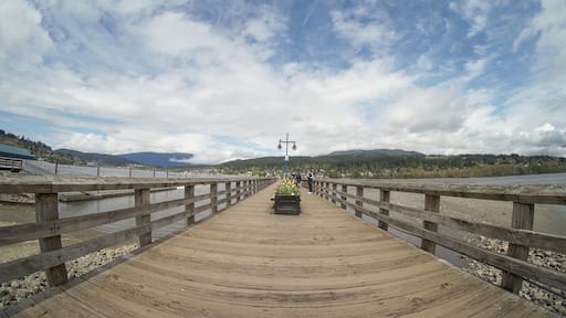Pier at Rocky Point Park. Port Moody, BC, Canada
#portmoody
#rockypoint