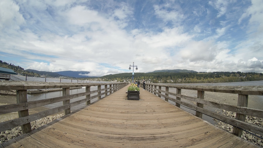 Pier at Rocky Point Park. Port Moody, BC, Canada
#portmoody
#rockypoint