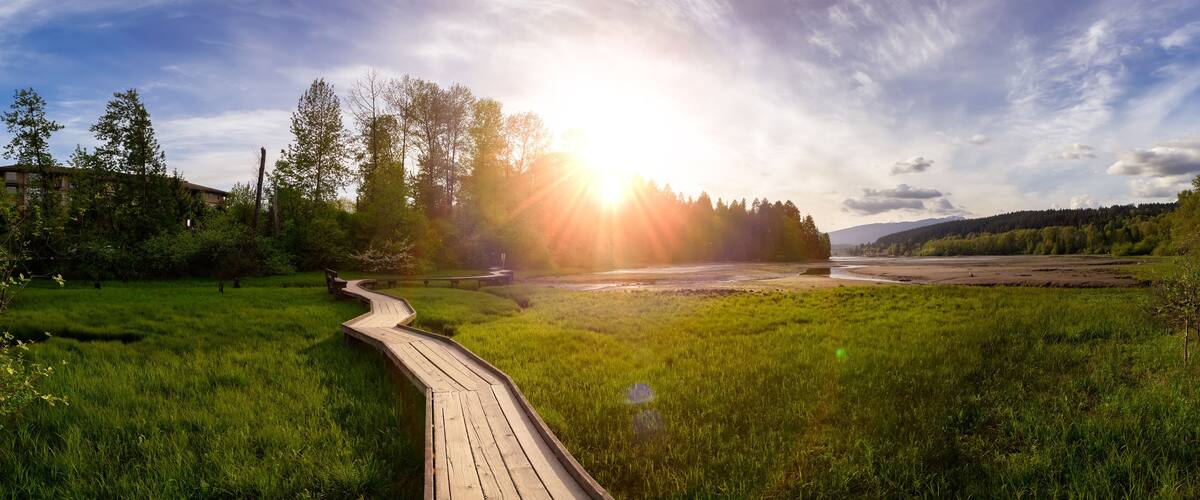 Panoramic View of a Wooden Path across a swamp in Shoreline Trail, Port Moody, Greater Vancouver, British Columbia, Canada. Trail in a Modern City during a Sunny Evening. Nature Background Panorama
