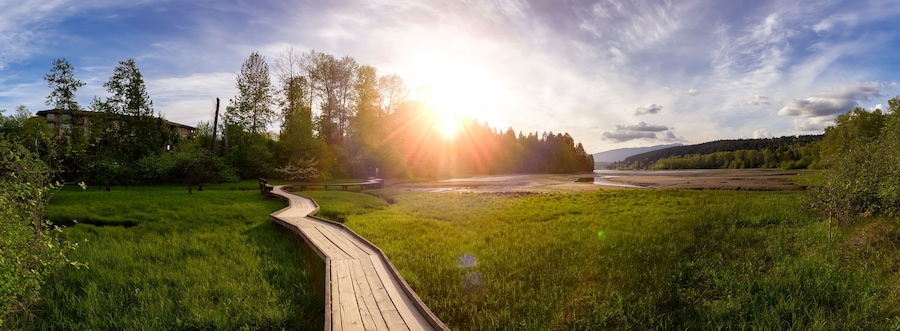 Panoramic View of a Wooden Path across a swamp in Shoreline Trail, Port Moody, Greater Vancouver, British Columbia, Canada. Trail in a Modern City during a Sunny Evening. Nature Background Panorama