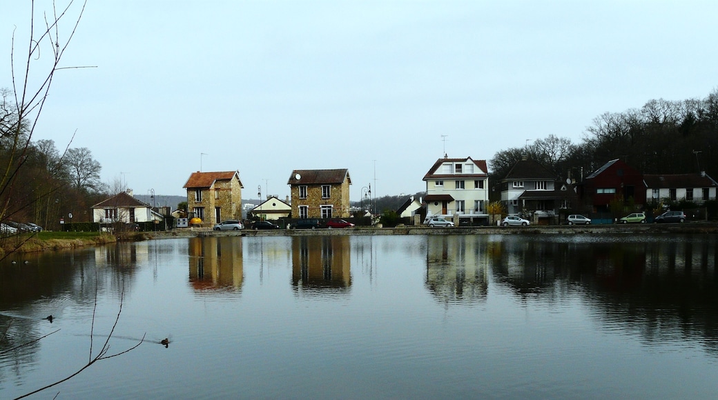 Bassin des Ecrevisses, mars 2011