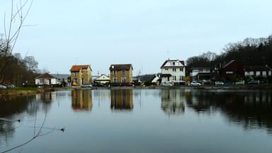 Bassin des Ecrevisses, mars 2011