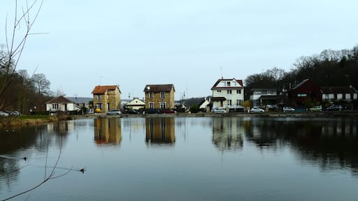 Bassin des Ecrevisses, mars 2011