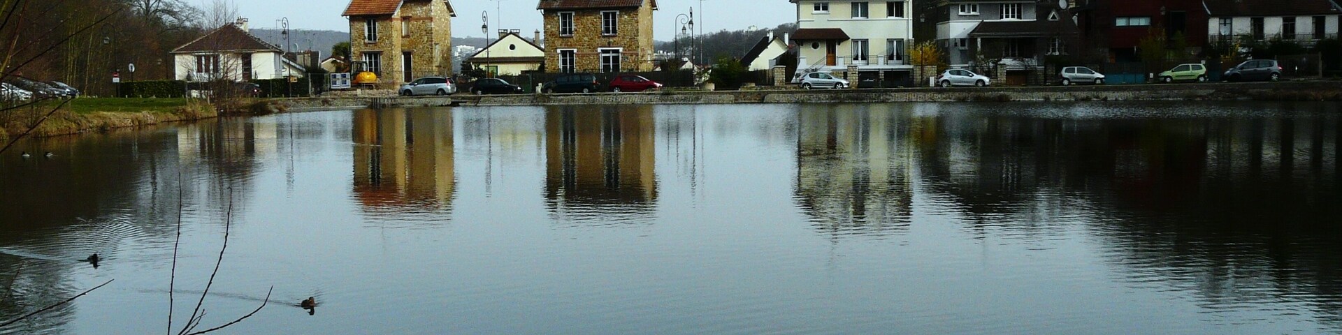 Bassin des Ecrevisses, mars 2011