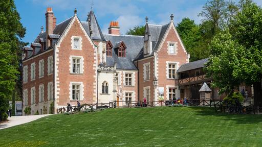 Clos Luce castle. Loire valley, France