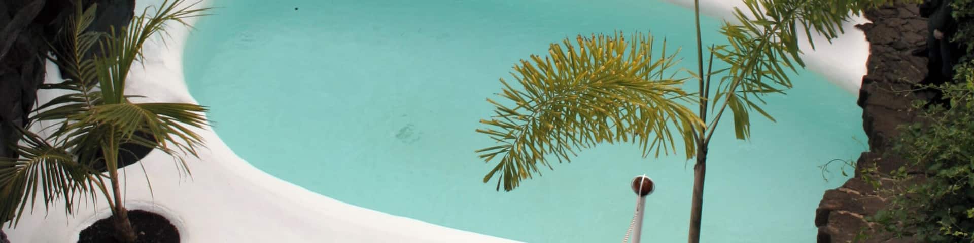 Cesar Manrique House 7