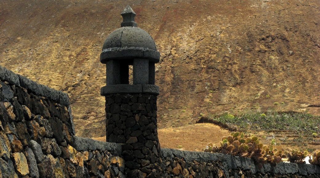 Lanzarote May 2010 - wall detail at Jardin de cactus