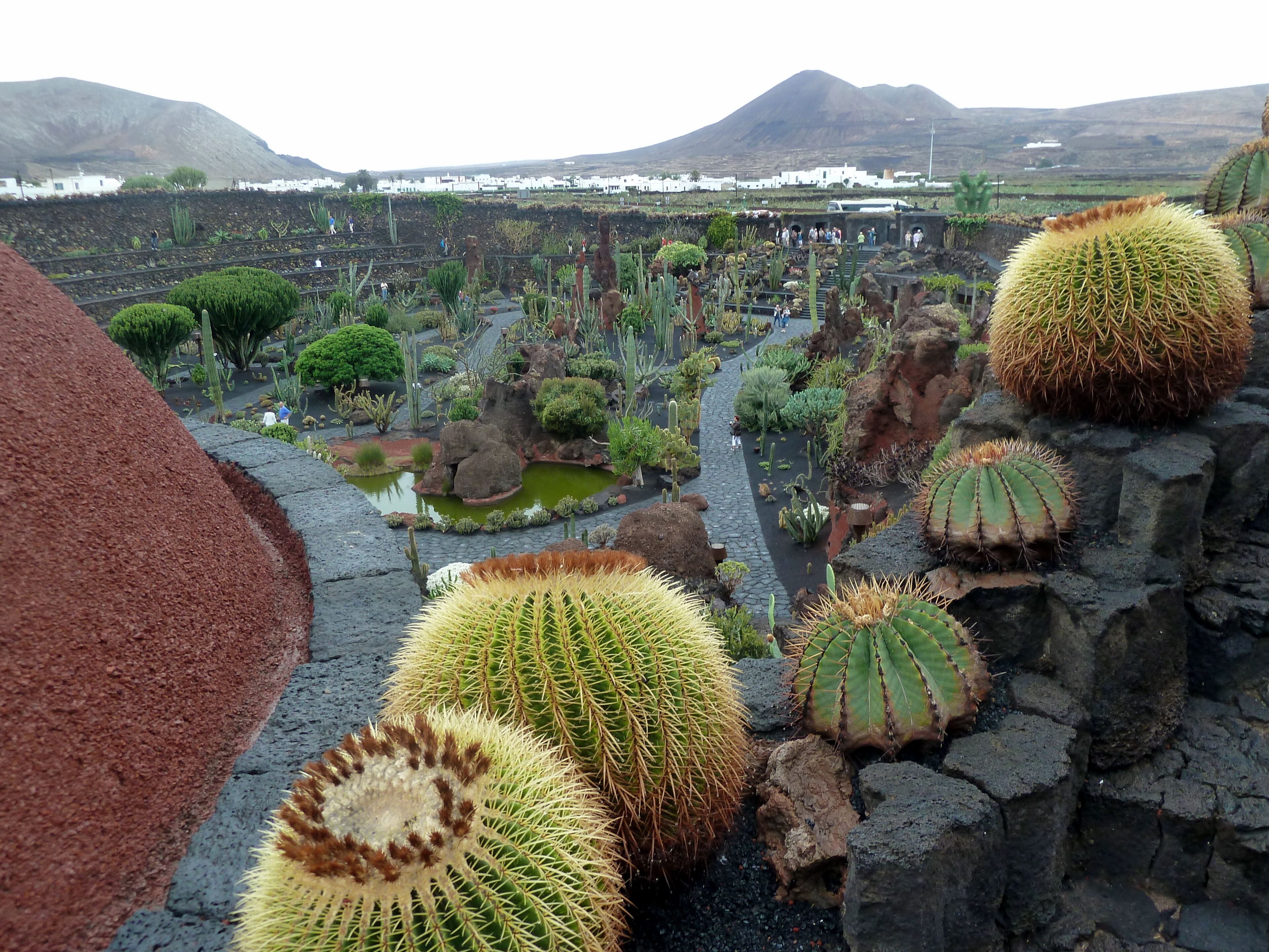Lanzarote - Jardin de Cactus von César Manrique