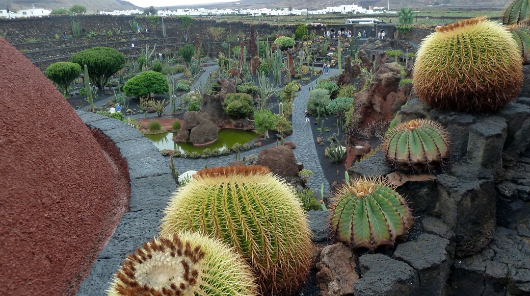 Lanzarote - Jardin de Cactus von César Manrique