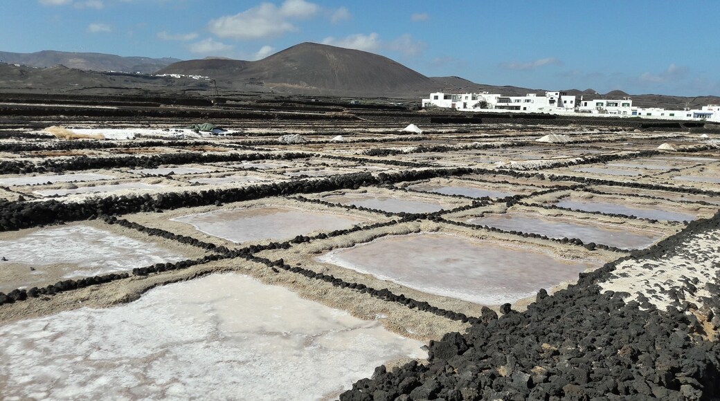 Salinen in Cocoteros, Lanzarote.
Las Salinas de Cocoteros at Lanzarote. Near Jardin de Cactus.