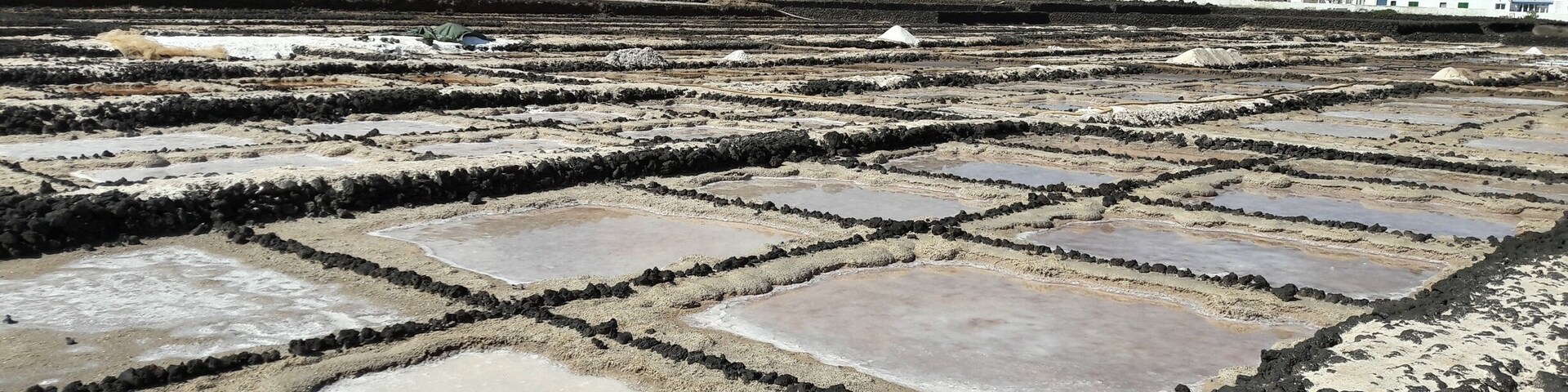 Terraced salt flats with white buildings in the background.