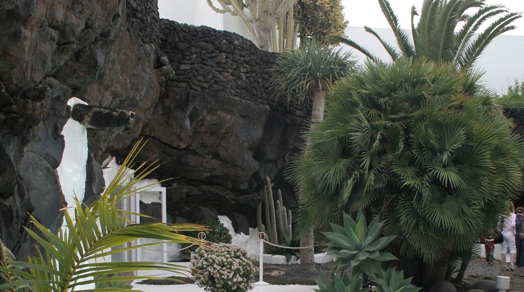 Cesar Manrique House 11