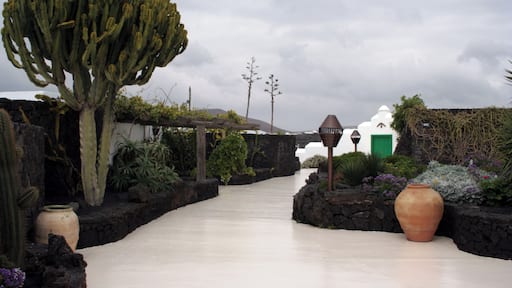 Cesar Manrique House 16