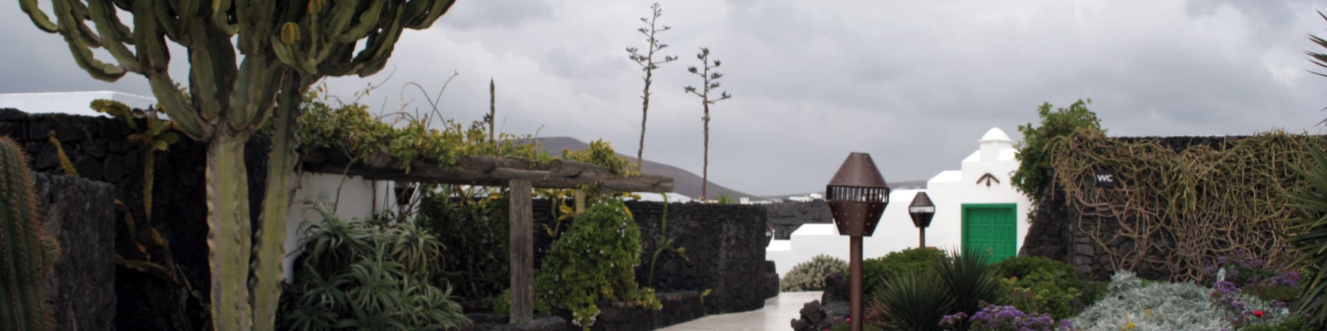 Cesar Manrique House 16