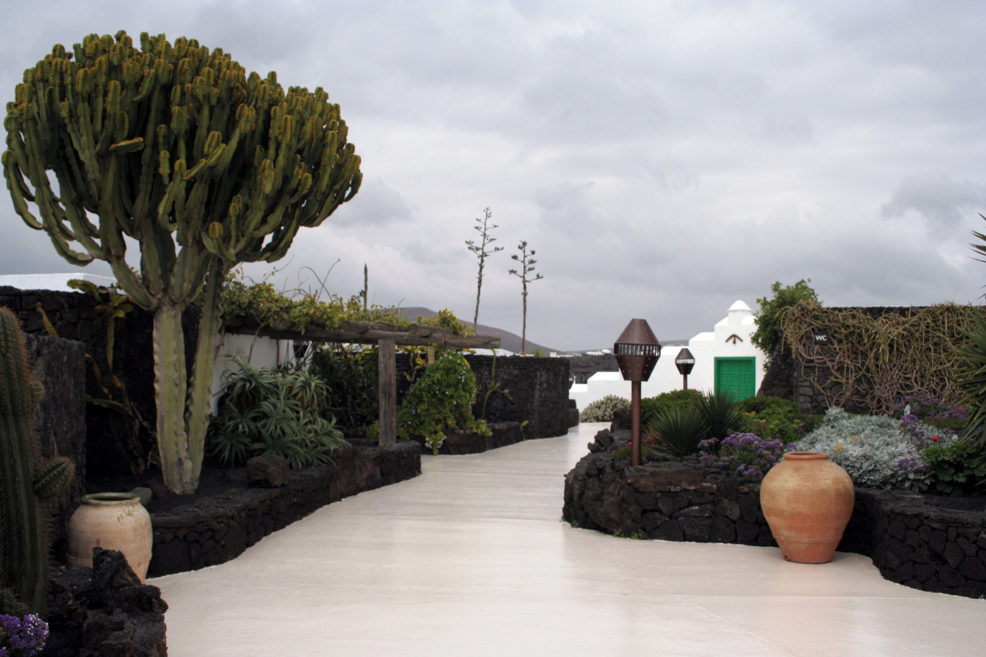 A pathway lined with cacti, a large pot, and a green door.