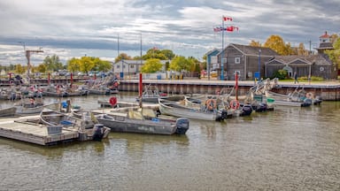 Gimli is a popular Tourist Destination on the West shore of Lake Winnipeg in Manitoba