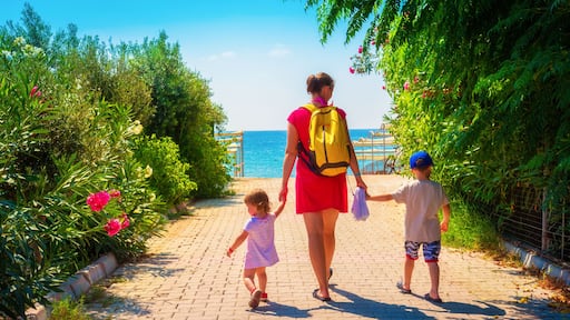 Family going to sea beach on summer vacation