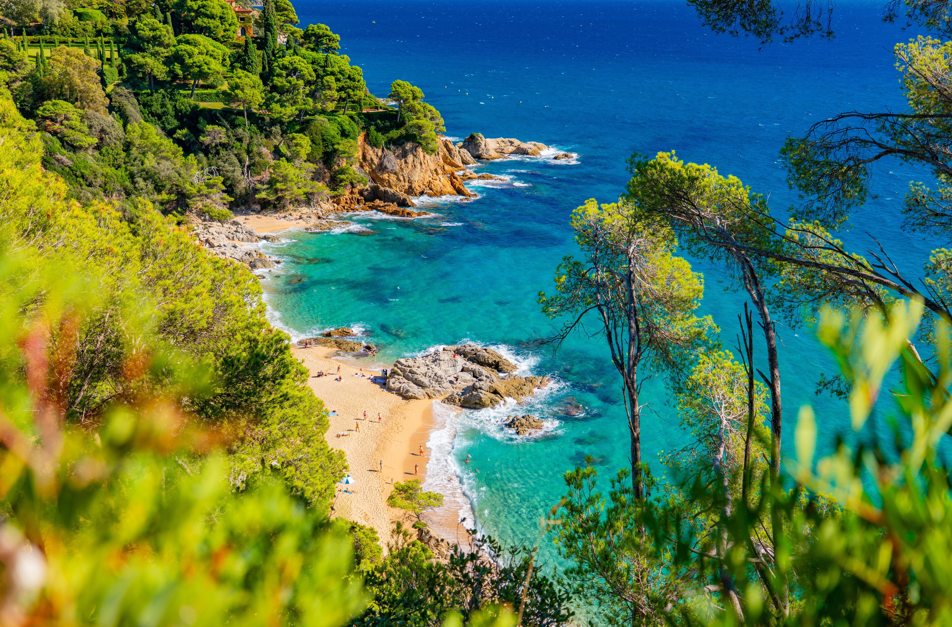 A coastal landscape with a beach, clear turquoise waters, and dense green foliage.